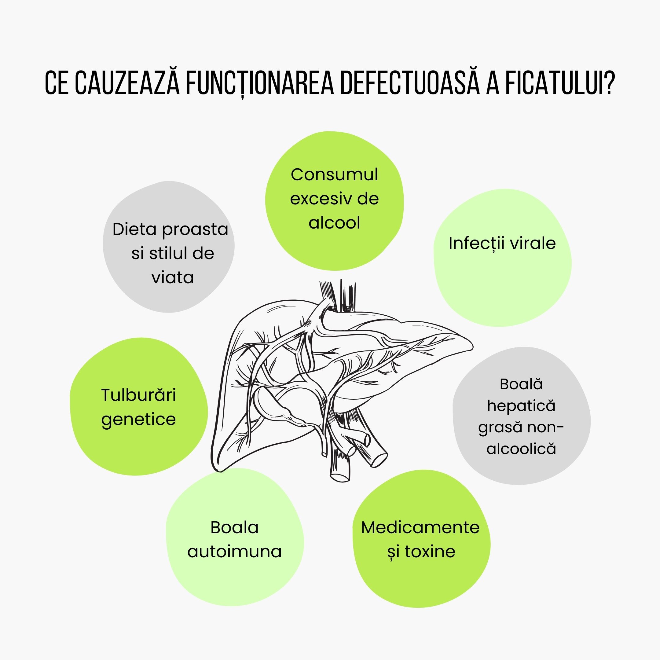 (Rumunština) Co způsobuje špatné fungování jater